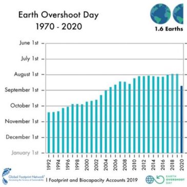 What are you doing to commemorate Earth Overshoot Day?